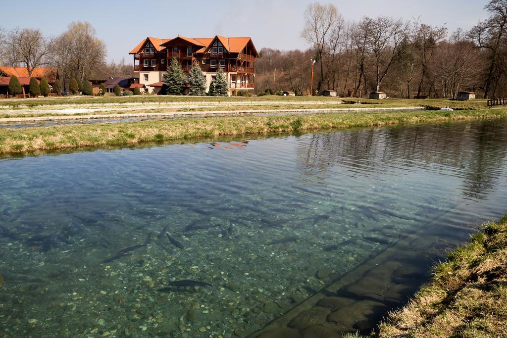 Complex Pastravaria Albota Hotel Arpaşu de Sus Exterior foto